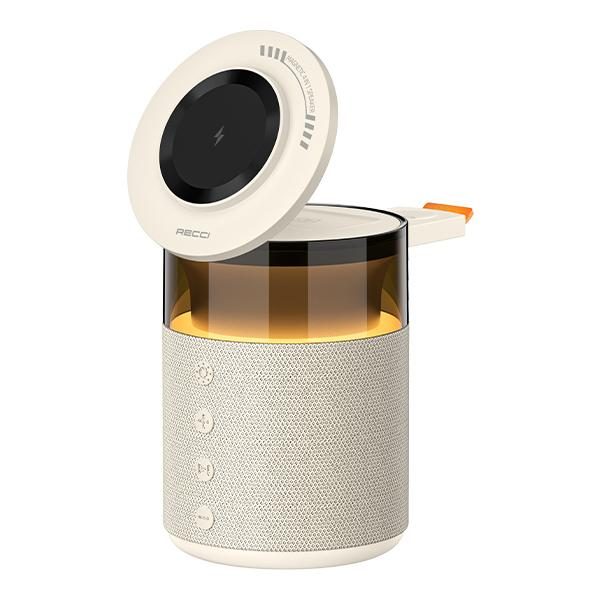 RECCI RCW-51 5IN1 Charger